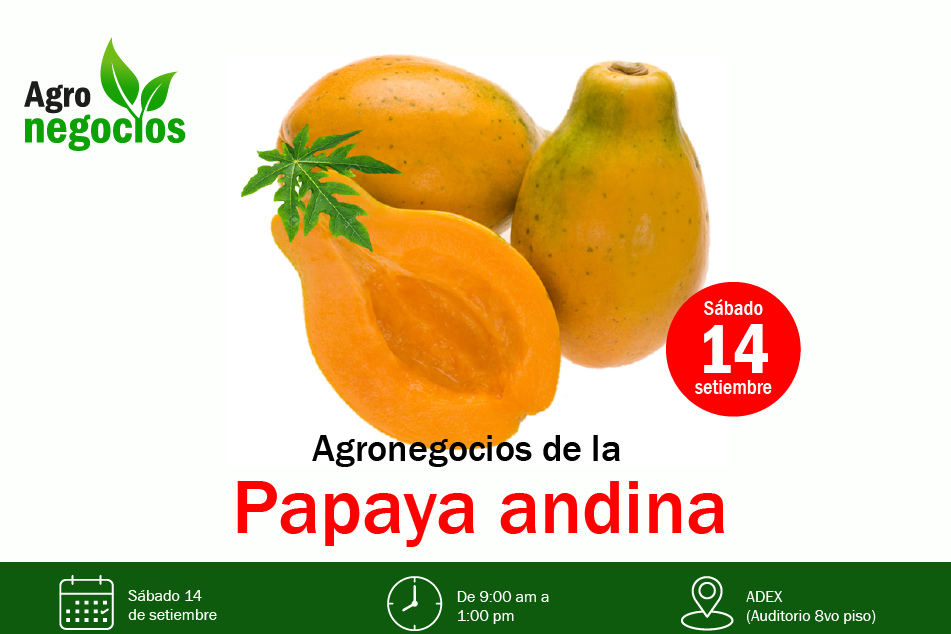 Agronegocios de la papaya andina – 14 setiembre 2019