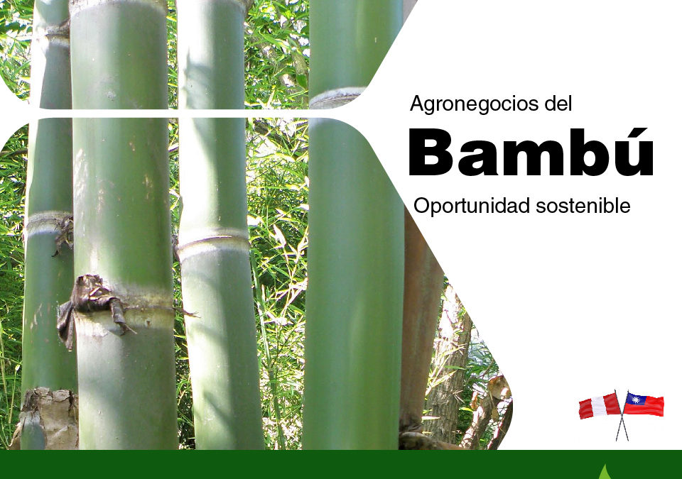 Agronegocios del Bambú